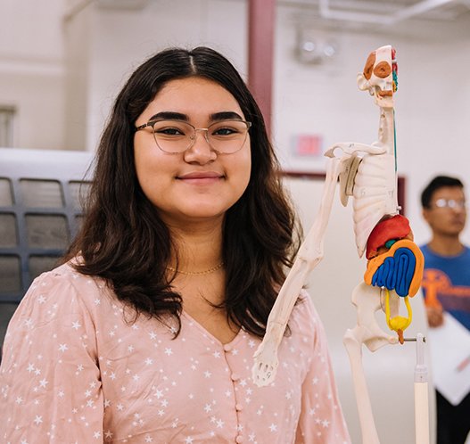 Recursos para estudiar mapudungun