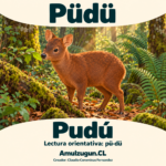 Pudú — ilustración educativa original de Amulzugun.CL