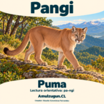 Puma — ilustración educativa original de Amulzugun.CL